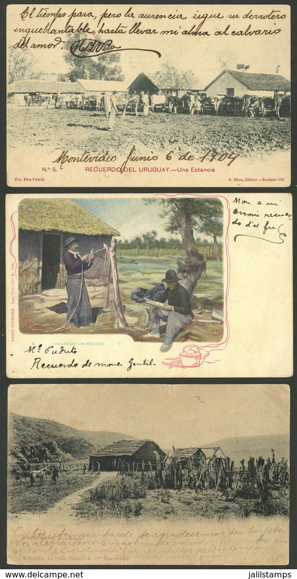 URUGUAY: 3 Old Postcards With Views Of Rural Life, Rural Houses, Etc., VF! - Uruguay