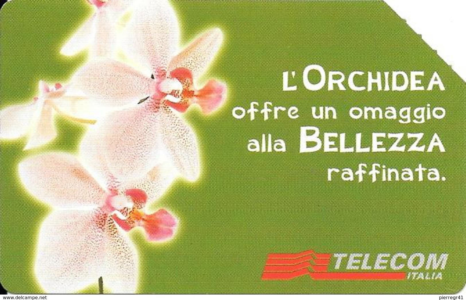 CARTE MAGN-ITALIE-ORCHIDEA-R°Glacé-UTILISE-TBE-RARE - Fleurs