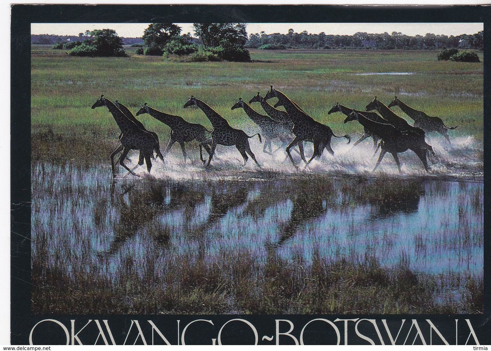 Okavango-Botswana - - Botswana