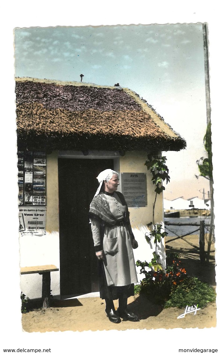 Bourine Du S.I. - St Gilles Sur Vie - 95 - Saint Gilles Croix De Vie