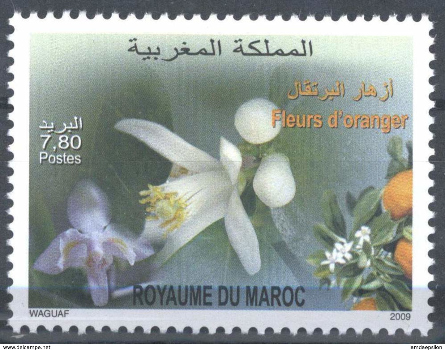 MOROCCO FLEURS D' ORANGER 2009 - Morocco (1956-...)