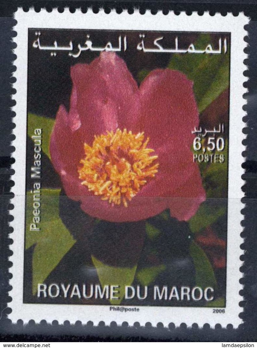 MOROCCO FLORE FLEURS FLOWERS JARDINAGE 2006 - Morocco (1956-...)