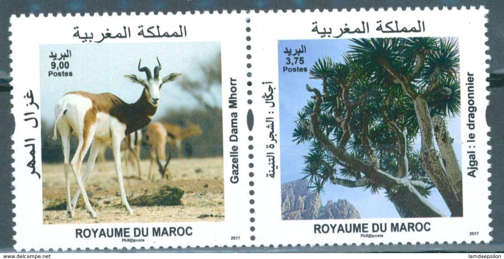 MOROCCO ANNEE DIVERSITE BIOLOGIQUE 2010 - Marocco (1956-...)