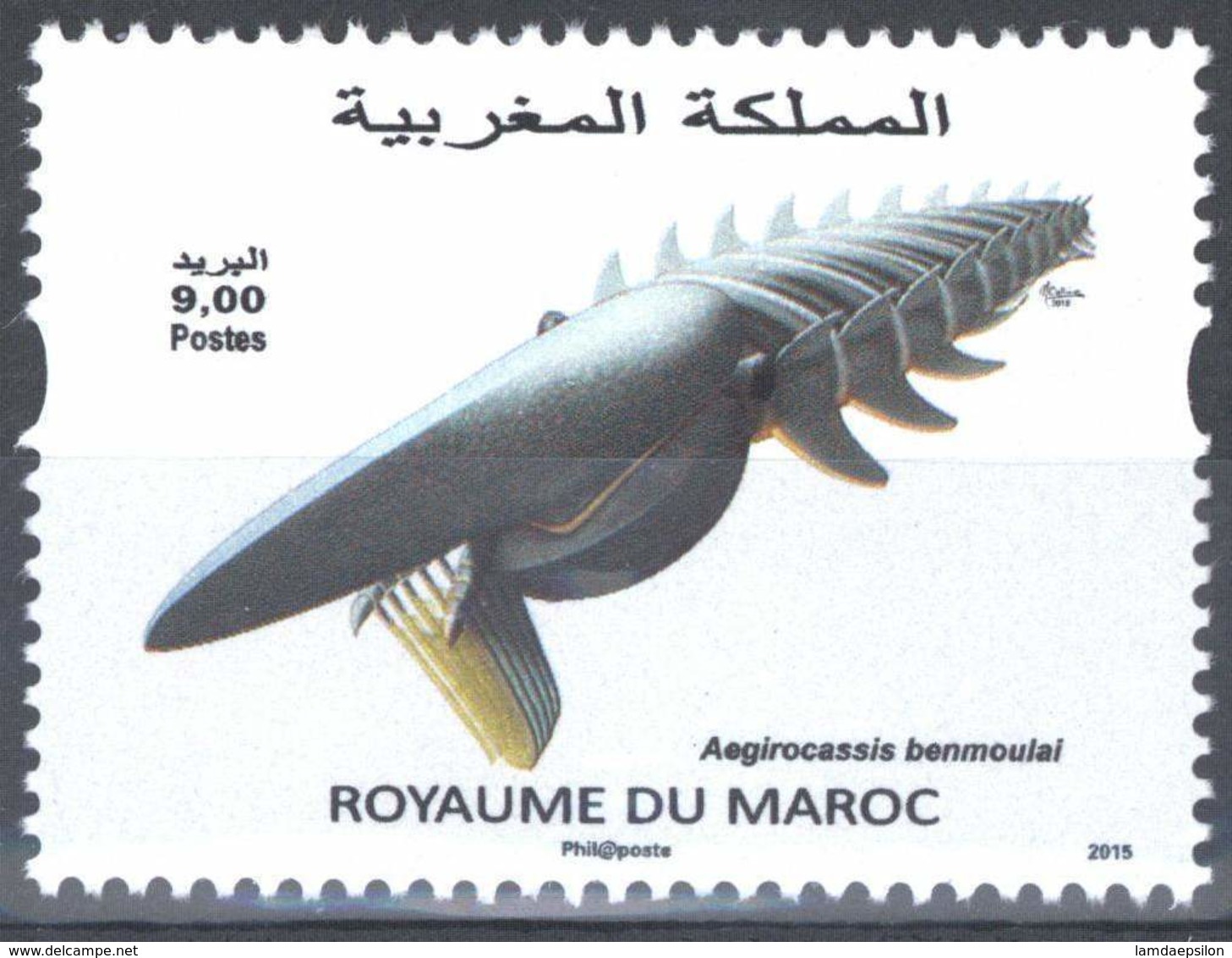 MOROCCO FAUNE MARINE REQUIN SHARK 2015 - Morocco (1956-...)