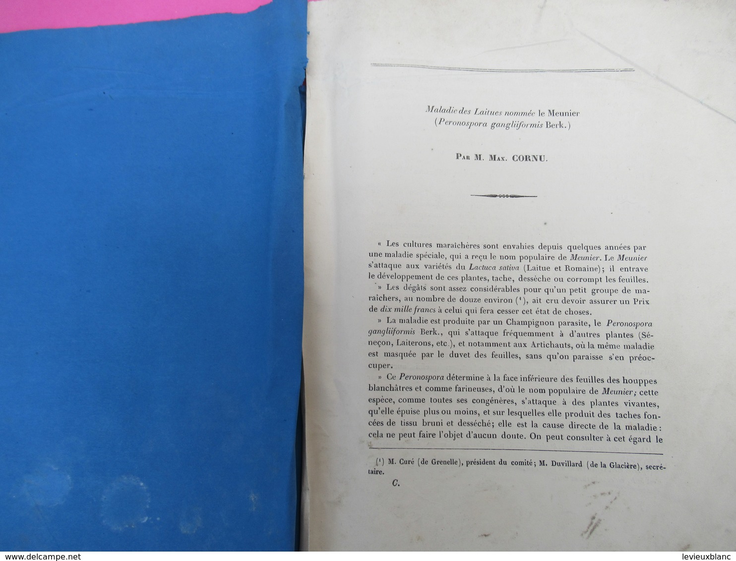 Fascicule /Botanique/Maxime CORNU/ Maladie Des Laitues Nommée Le Meunier/Lavallée/1878    MDP127 - 1801-1900