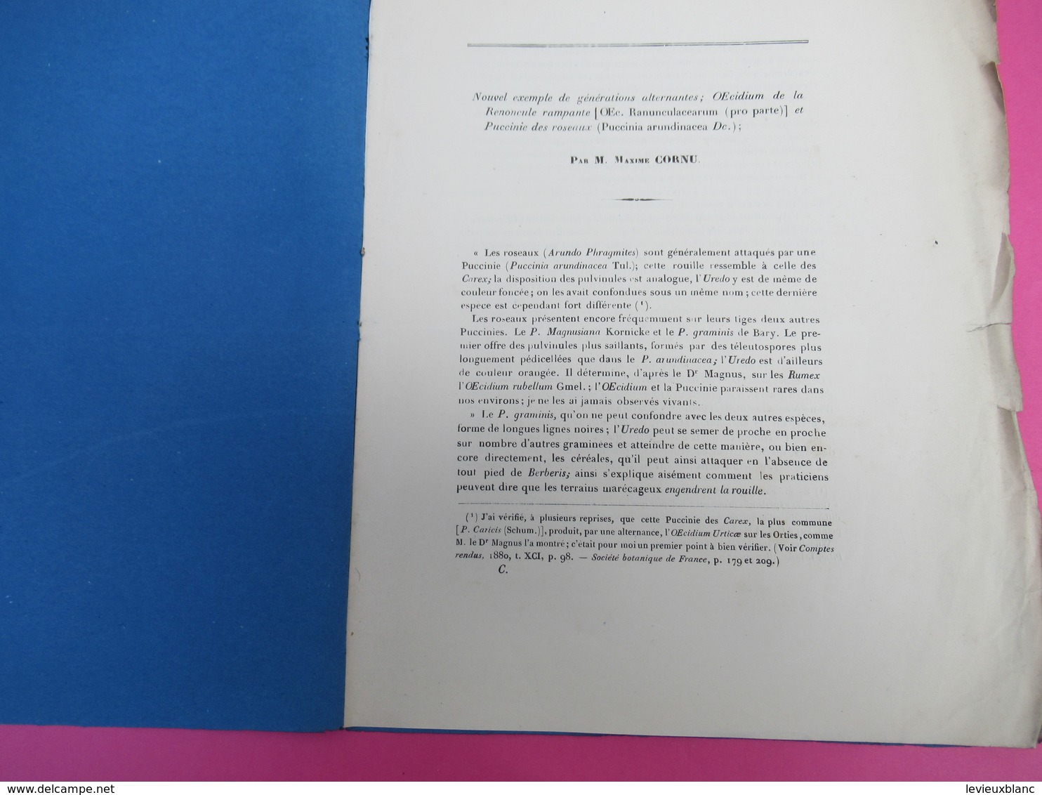 Fascicule /Botanique/Maxime CORNU/Nouvel Exemple De Générations Alternantes Renoncule /Lavallée/1882     MDP130 - 1801-1900