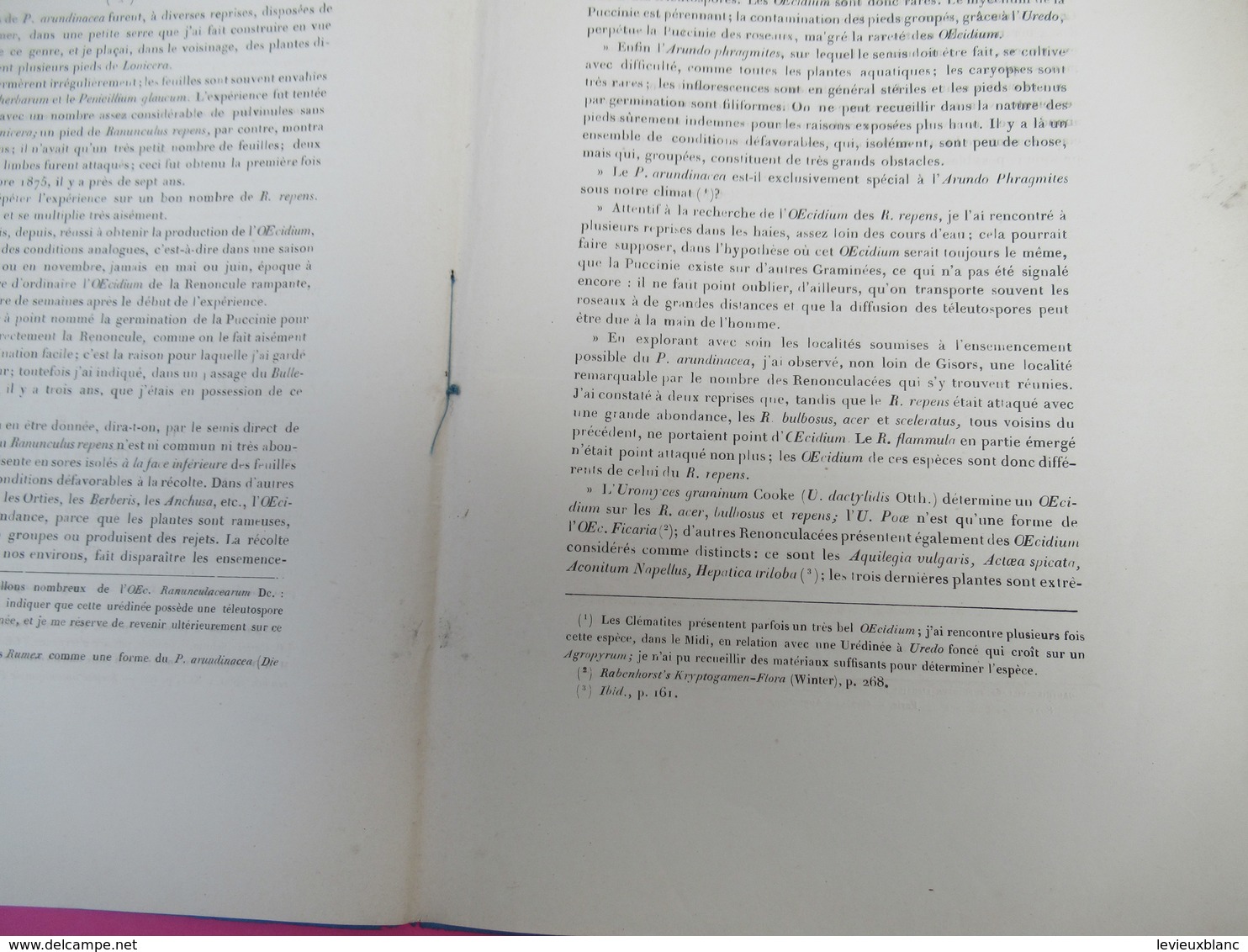 Fascicule /Botanique/Maxime CORNU/Nouvel Exemple De Générations Alternantes Renoncule /Lavallée/1882     MDP130 - 1801-1900