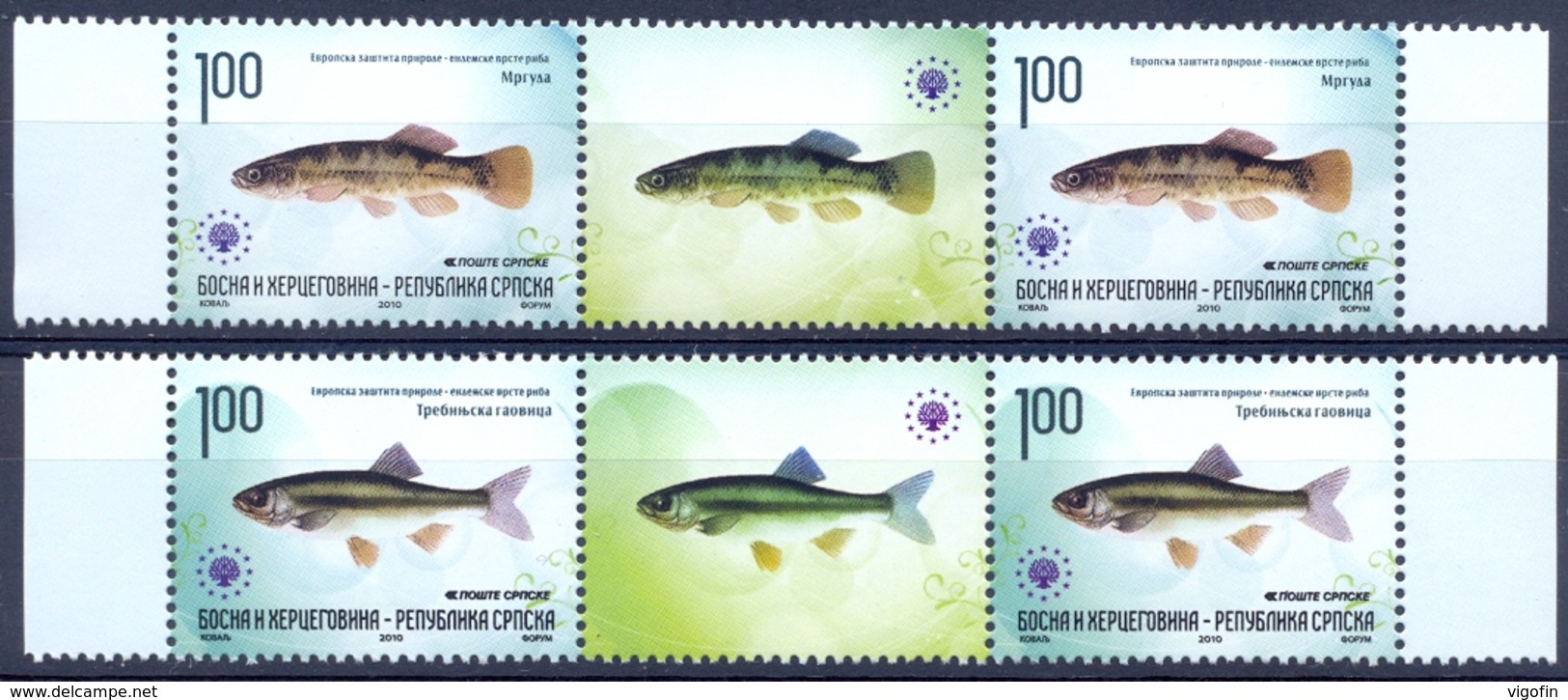 BHRS 2010-512-3 FISH, BOSNA AND HERZEGOVINA-R.SRBSKA, 2 X 2v + Labels, MNH - Bosnien-Herzegowina