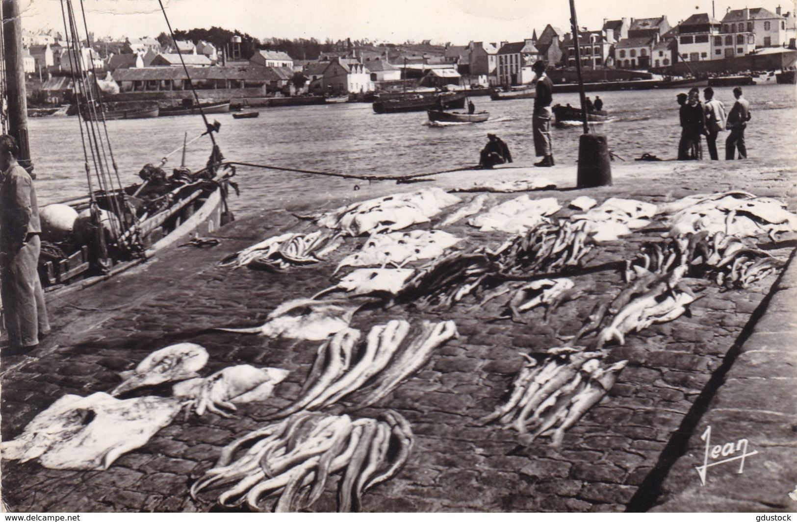 Vendée - Audierne - Débarquement De Poissons Au Fond Poulgoazec - Autres & Non Classés