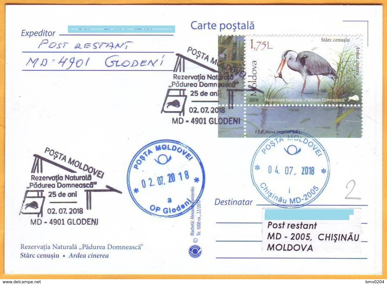 2018 Moldova Moldavie Fauna Used  Nature, Nature Reserve "Padurea Domneasca". Birds.Gray Heron - Cigognes & échassiers