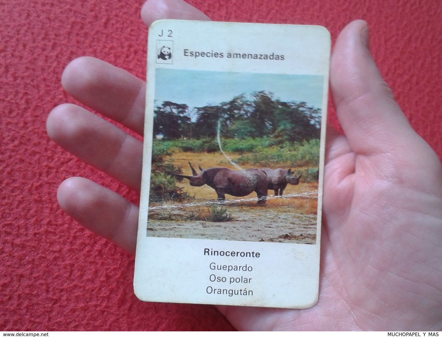 SPAIN ANTIGUO CROMO RARE OLD COLLECTIBLE CARD CARTA DE BARAJA O SIMIL RINOCERONTE RHINO RHINOCEROS RHINOS RHINOCEROSES - Otros & Sin Clasificación