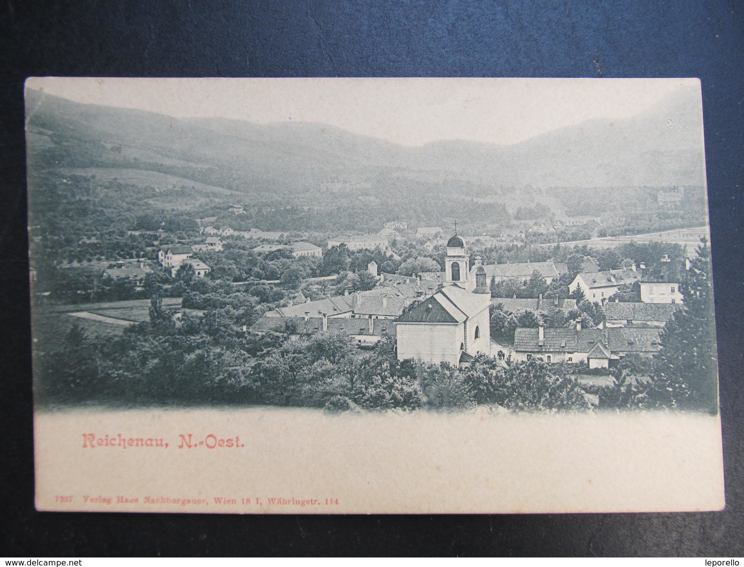 AK REICHENAU NÖ B. Neunkirchen  Ca.1900 // D*39123 - Neunkirchen