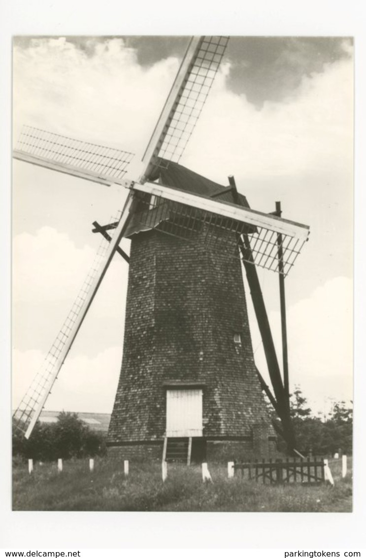 D138 - Arendonk - Molen Steendonker - Molen - Moulin - Mill - Mühle - Arendonk