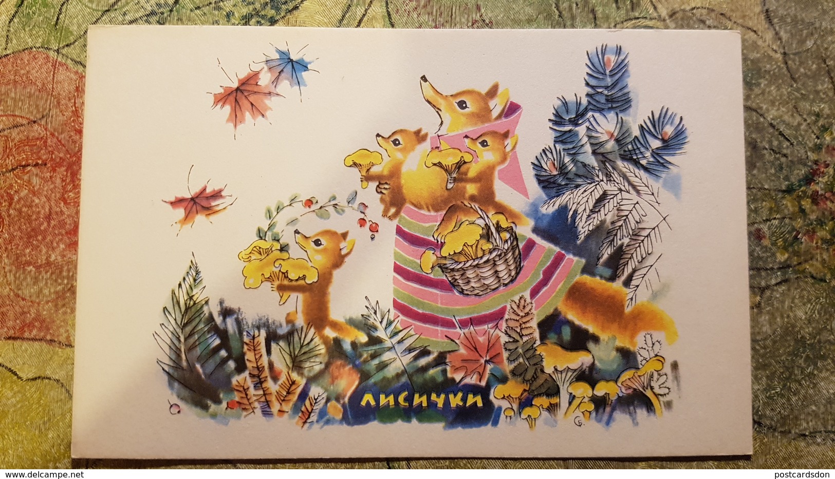Foxes. MUSHROOMS -  Chanterelle Mushroom - Old Soviet Postcard - 1968 - Champignon - Funghi