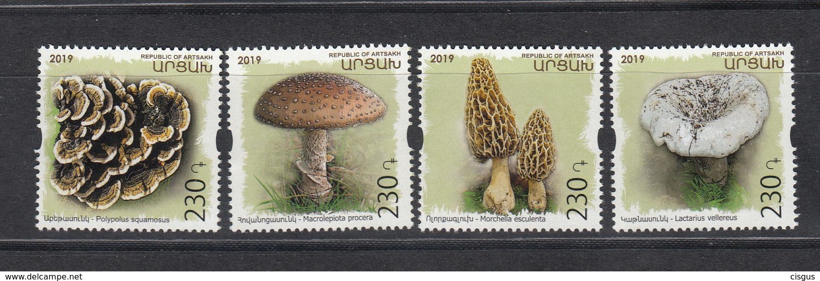 Armenia Karabakh Artsakh MNH** 2019 Mushrooms Set Mi 191-94   M - Pilze