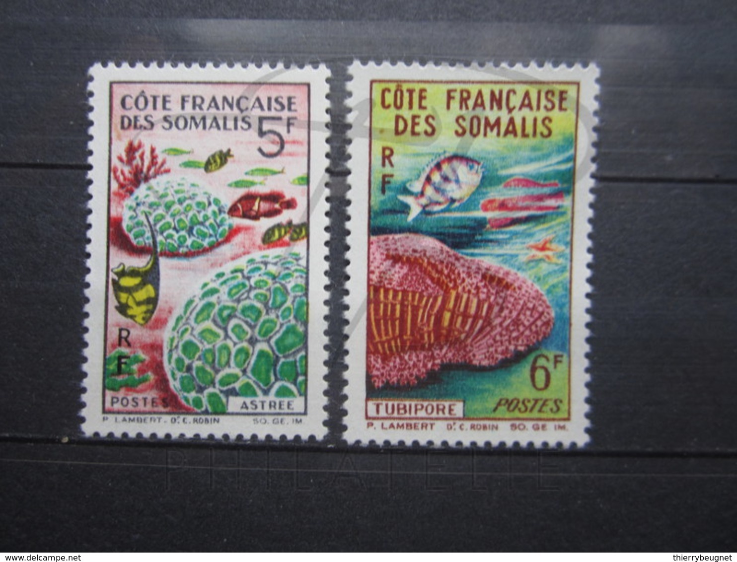 VEND BEAUX TIMBRES DE LA COTE FRANCAISE DES SOMALIS N° 316 + 317 , X !!! - Neufs