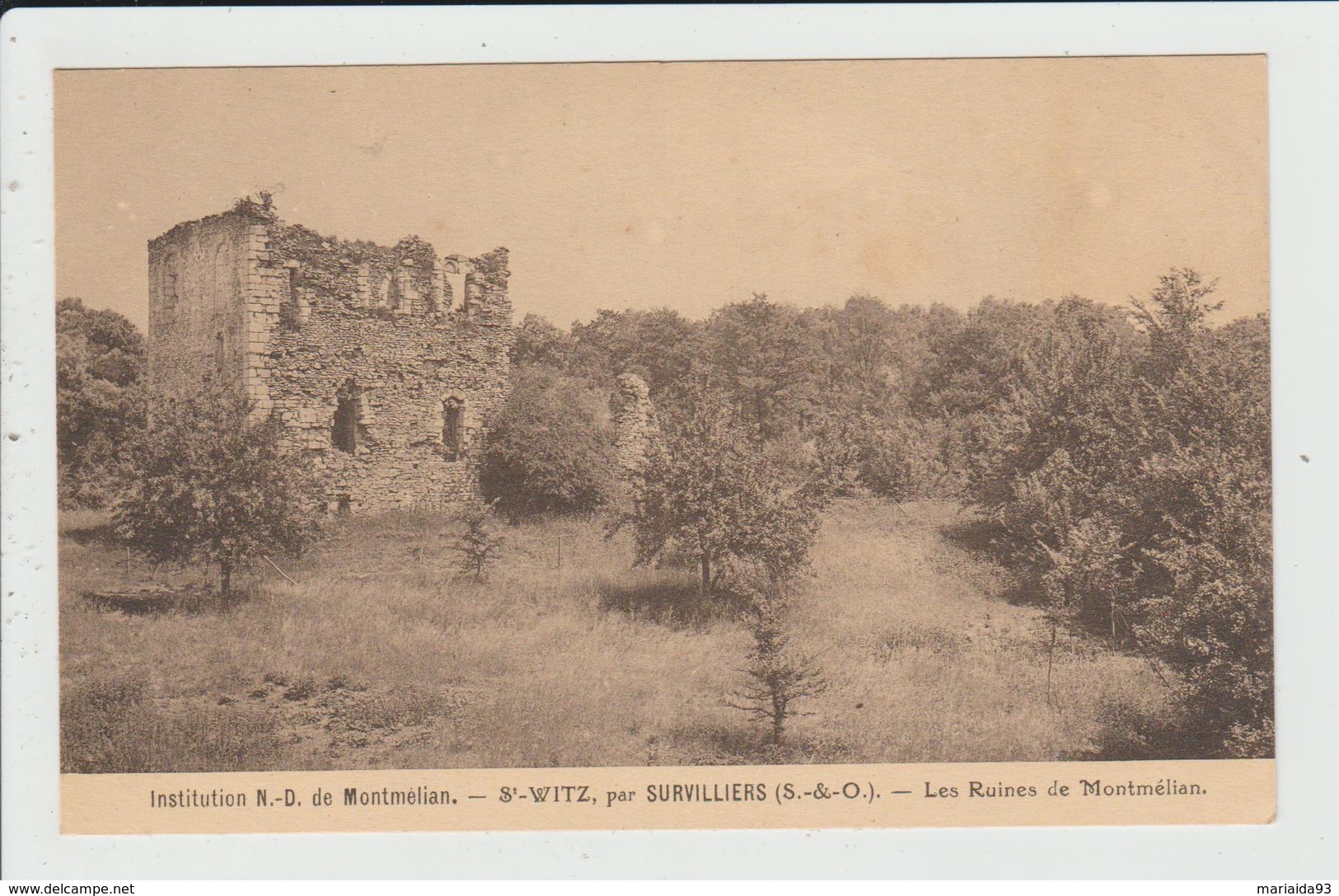 SAINT WITZ - VAL D'OISE - INSTITUTION NOTRE DAME DE MONTMELIAN - LES RUINES DE MONTMELIAN - Saint-Witz