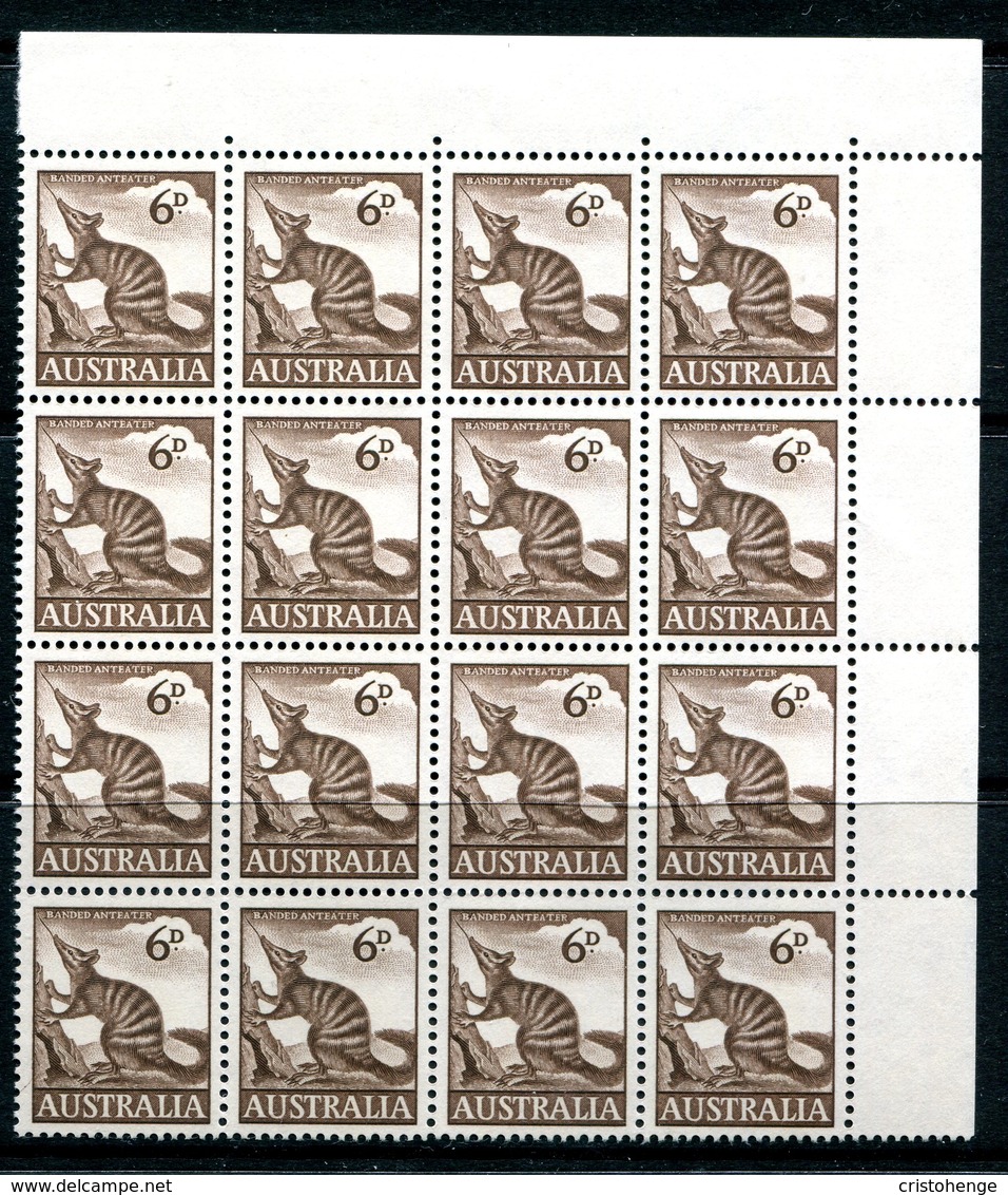 Australia 1959-64 Pictorial Definitives - 6d Numbat - Block Of 16 MNH (SG 316) - Mint Stamps