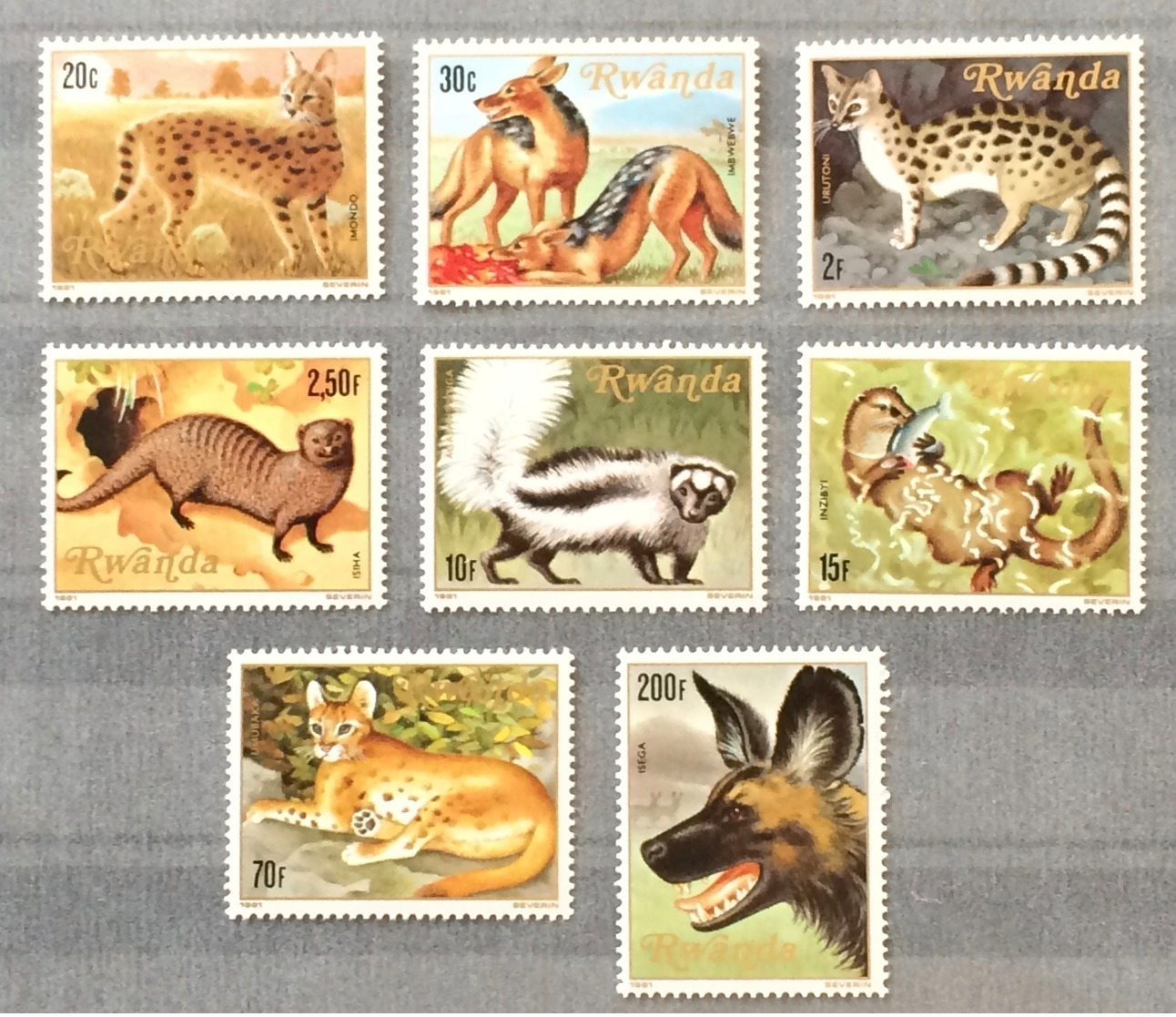 Rwanda 1981; Fauna, Wild Animals; MNH** VF; CV 14 Euro!! - Raubkatzen