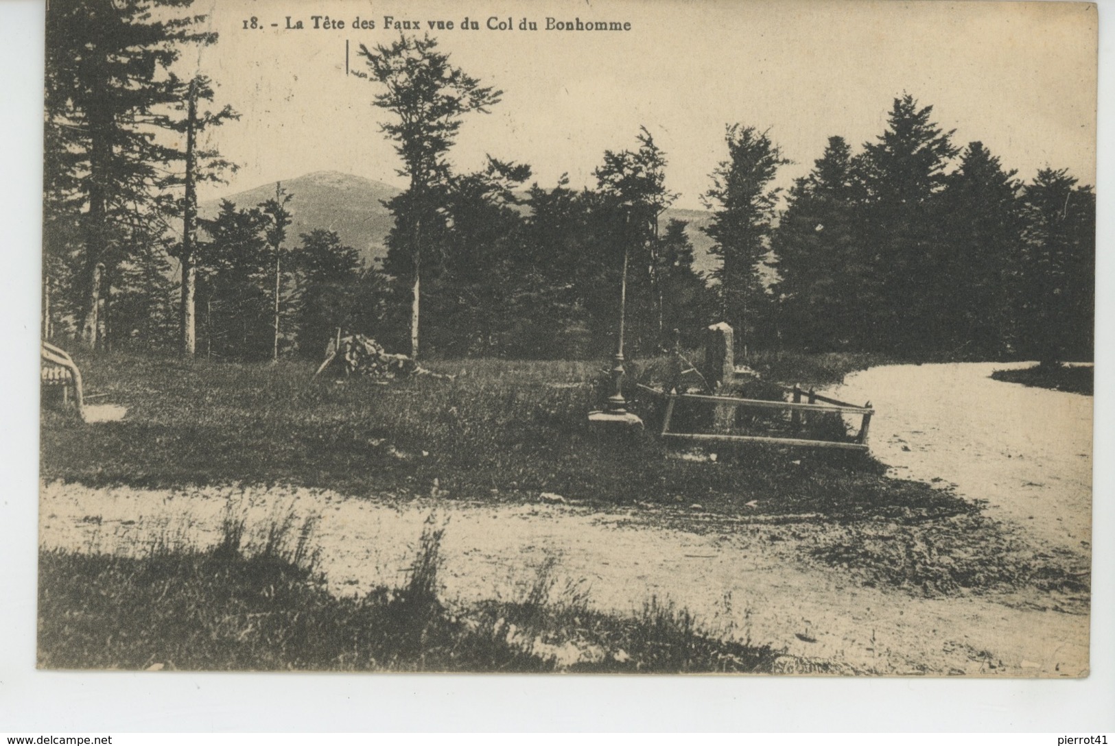 ORBEY - La Tête Des Faux Vue Du Col Du Bonhomme - Cachet Au Dos Du RESTAURANT GERARD - LAC NOIR - Orbey