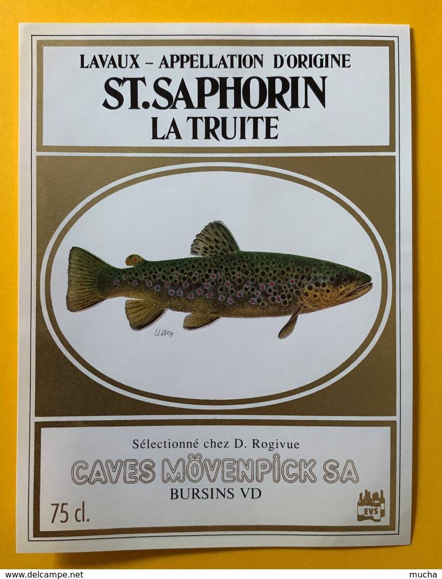 10906 - St,Saphorin La Truite Suisse Caves Mövenpick - Autres & Non Classés