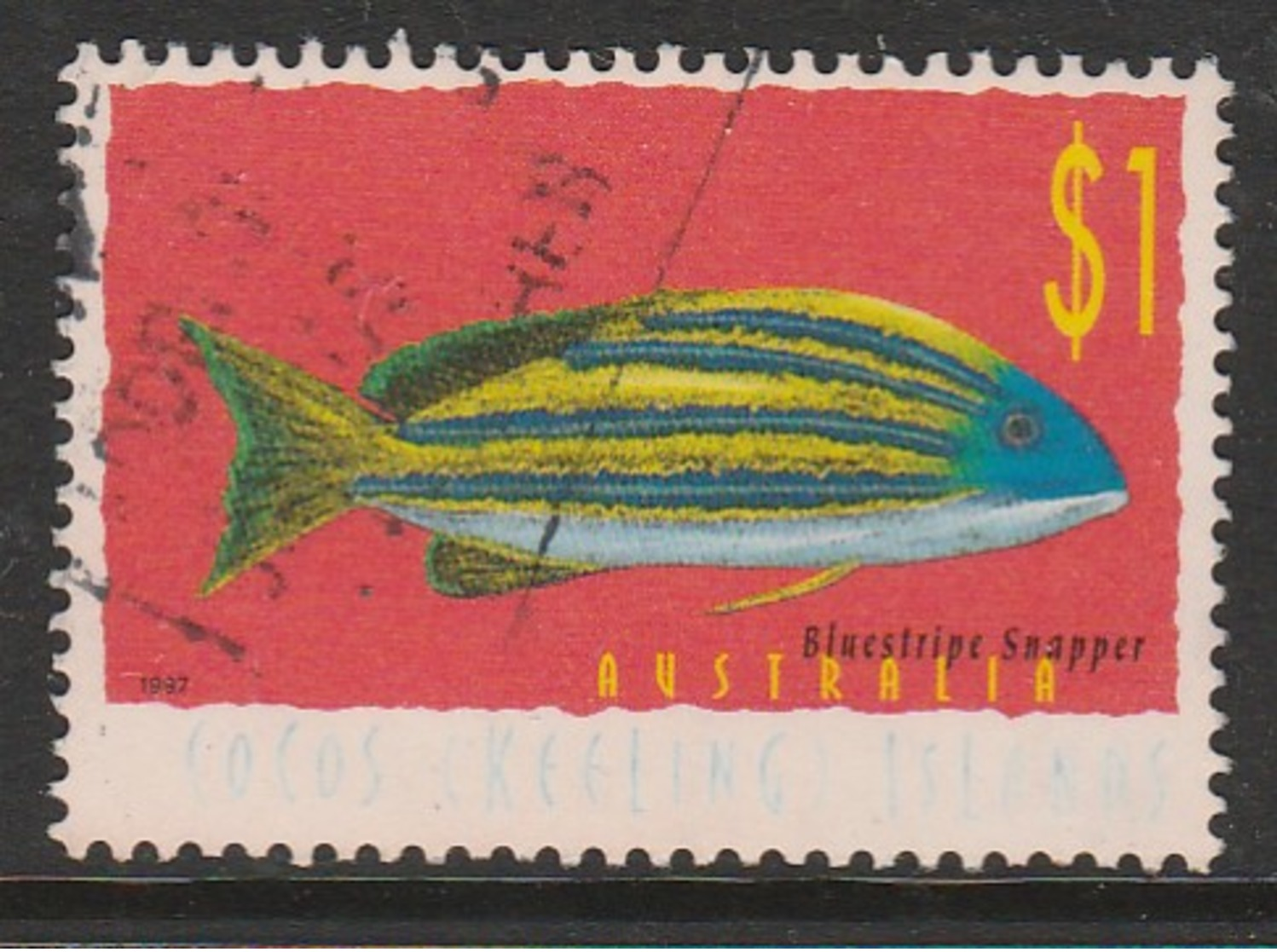 Cocos (Keeling) Islands 1997 Fish 1 $ Multicoloured SW 360 O Used - Cocos (Keeling) Islands