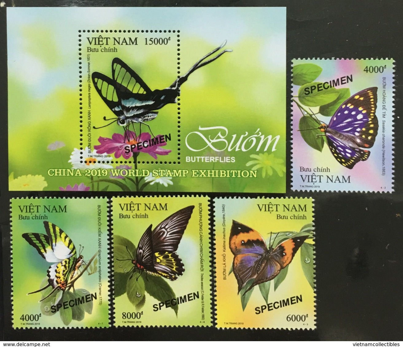 Viet Nam Vietnam MNH Specimen Stamps & A Souvenir Sheet 2019 : Butterfly (Ms1109) - Viêt-Nam