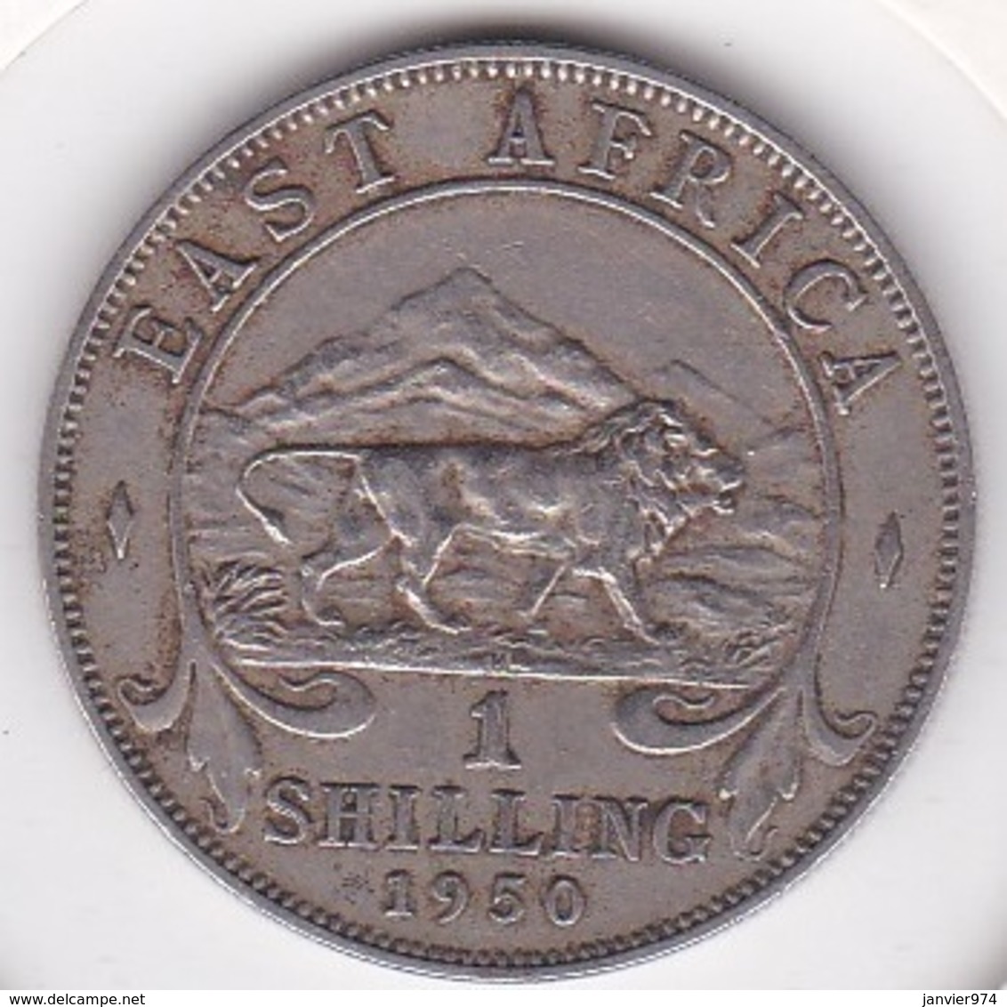 East Africa 1 Shilling 1950 George VI.  KM# 31 - Colonie Britannique