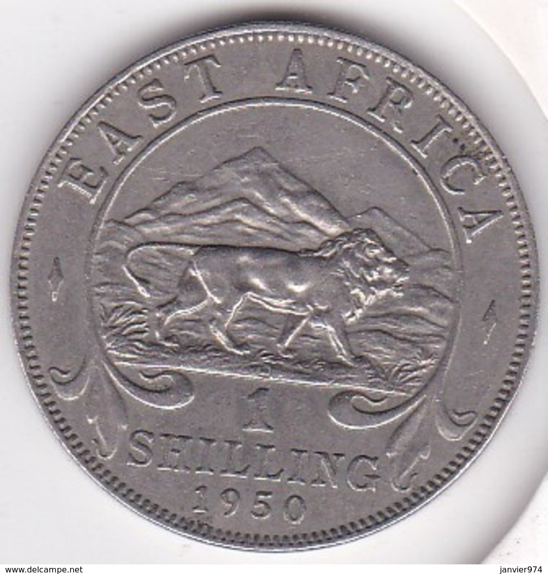 East Africa 1 Shilling 1950 George VI.  KM# 31 - Colonie Britannique