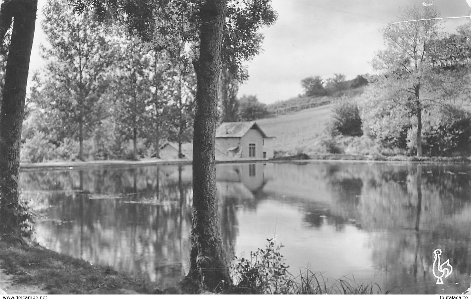 CPSM 38 JALLIEU L ETANG DE ROSIERE 1961 - Jallieu