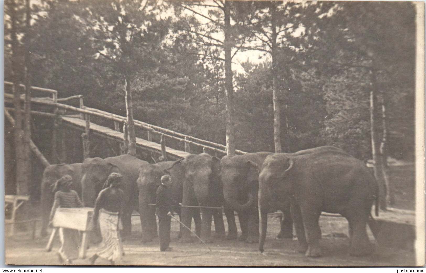 75  PARIS - Jardin Des Plantes - Eléphants Et Dresseur - Parks, Gardens