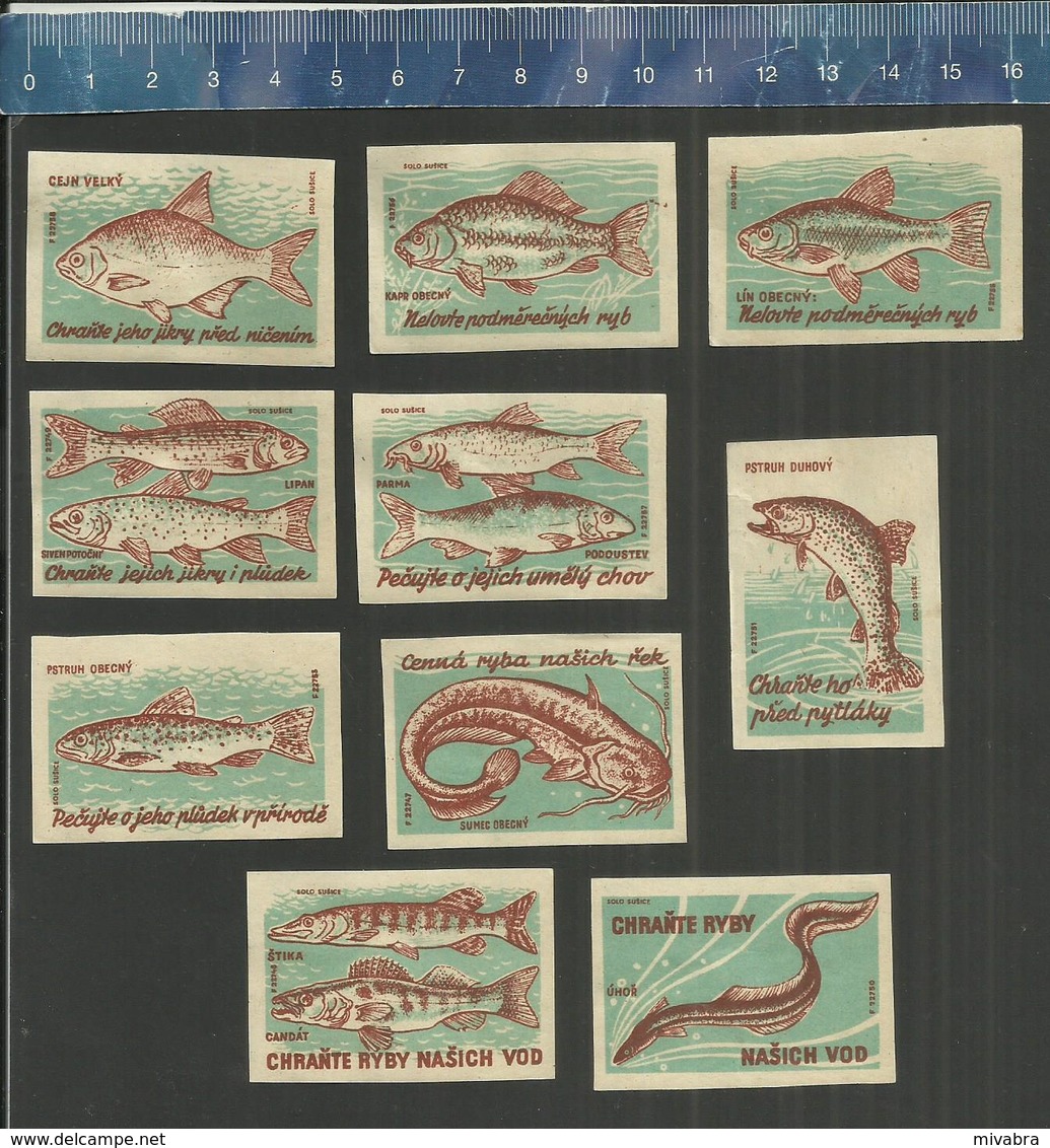 RYBY VISSEN  POISSONS  FISH  FISCH  Former Czechoslovakian Matchbox Labels (factory Susice) - Boites D'allumettes - Etiquettes