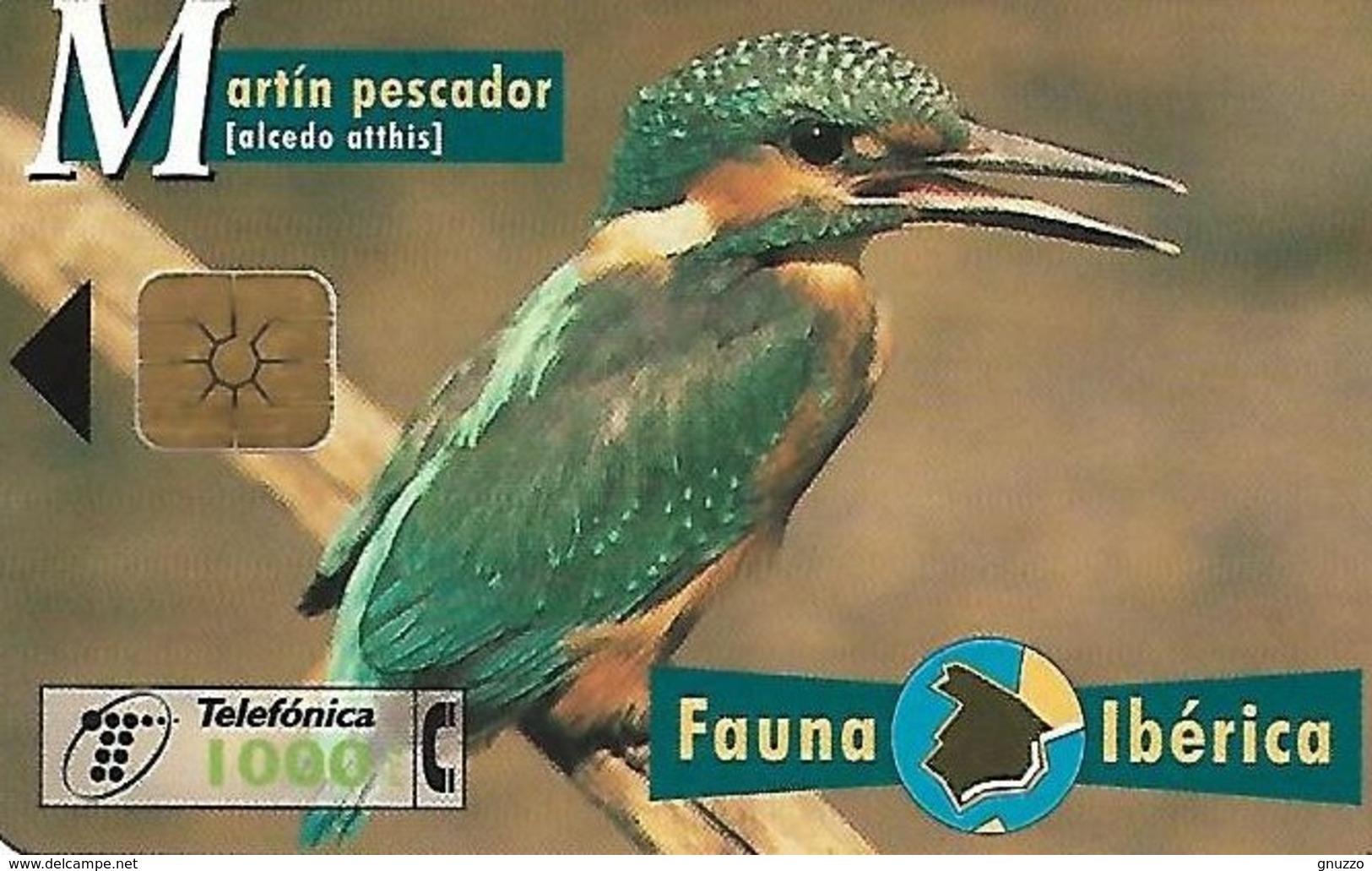 SPAGNA- (SPAIN)-FAUNA IBERICA-MARTIN PESCATORE - Altri & Non Classificati