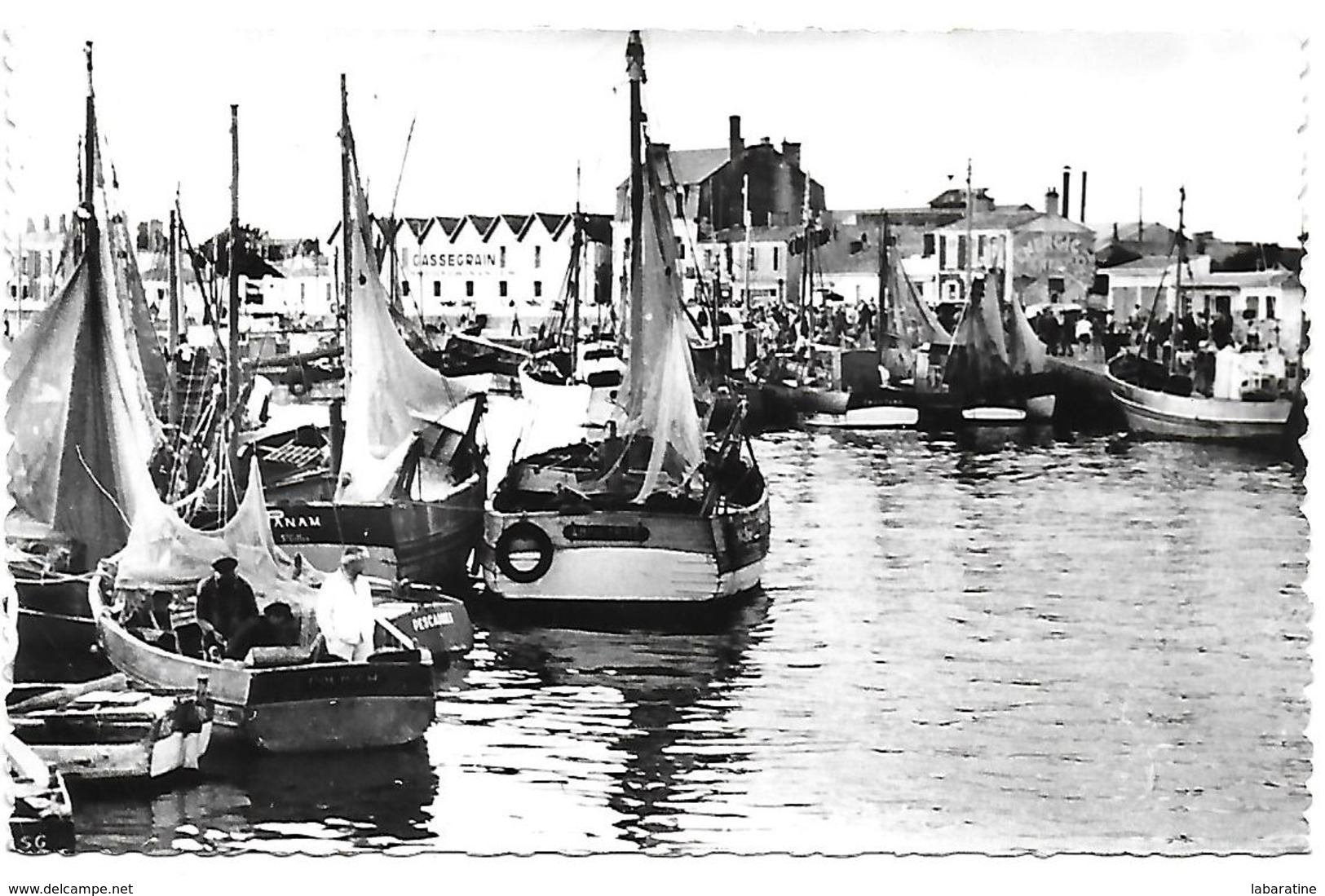 85)   CROIX DE VIE  - Le Port Arrivée De La Pêche - Autres & Non Classés