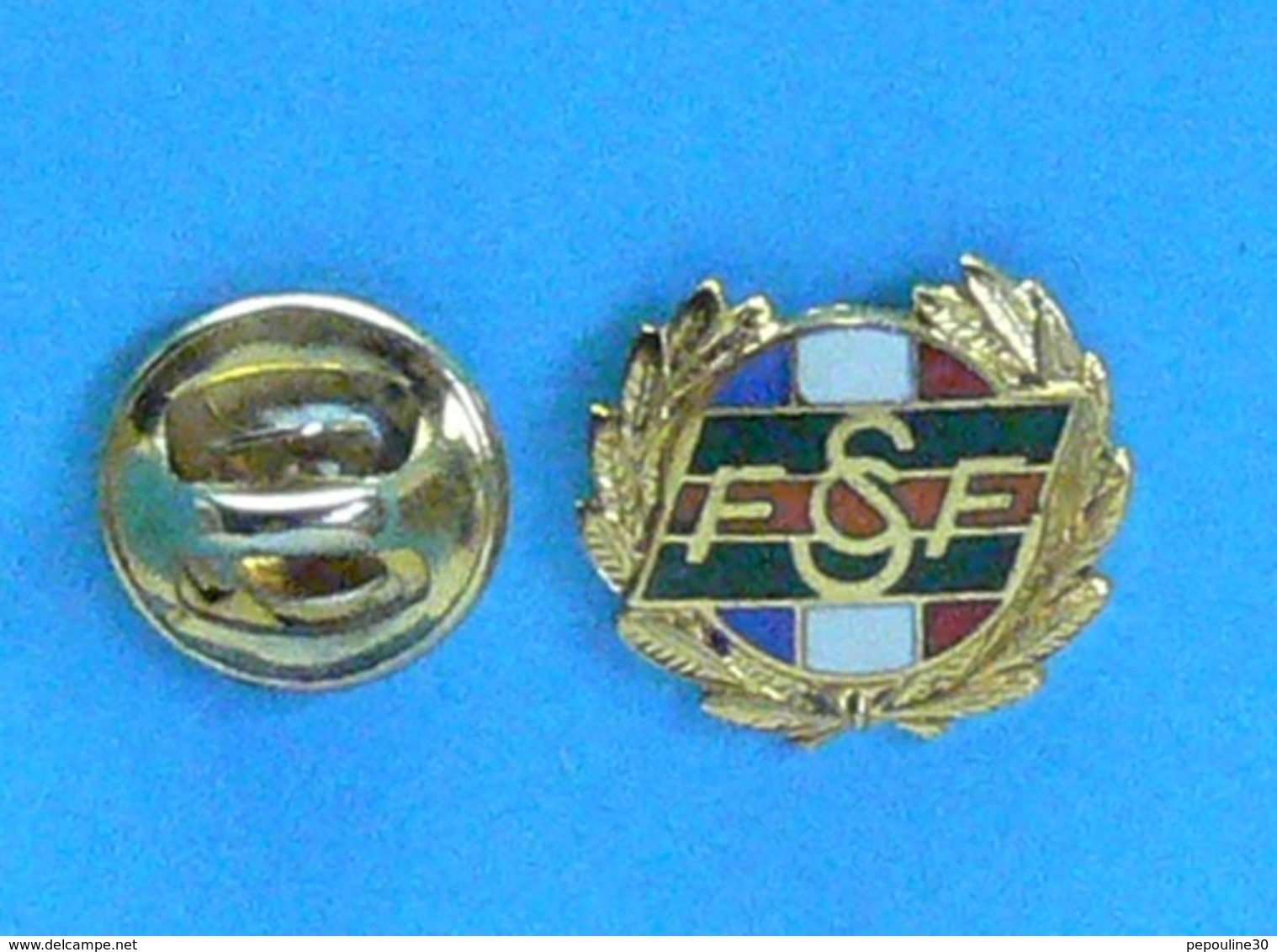 1 PIN'S // ** F S C F / INSIGNE DE L'HONNEUR FÉDÉRAL VERMEIL / FÉDÉRATION SPORTIVE & CULTURELLE FRANCE ** . (A B. Paris) - Autres & Non Classés