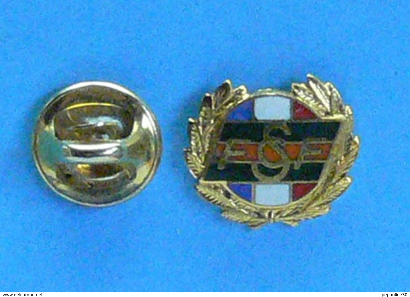 1 PIN'S // ** F S C F / INSIGNE DE L'HONNEUR FÉDÉRAL VERMEIL / FÉDÉRATION SPORTIVE & CULTURELLE FRANCE ** . (A B. Paris) - Otros & Sin Clasificación