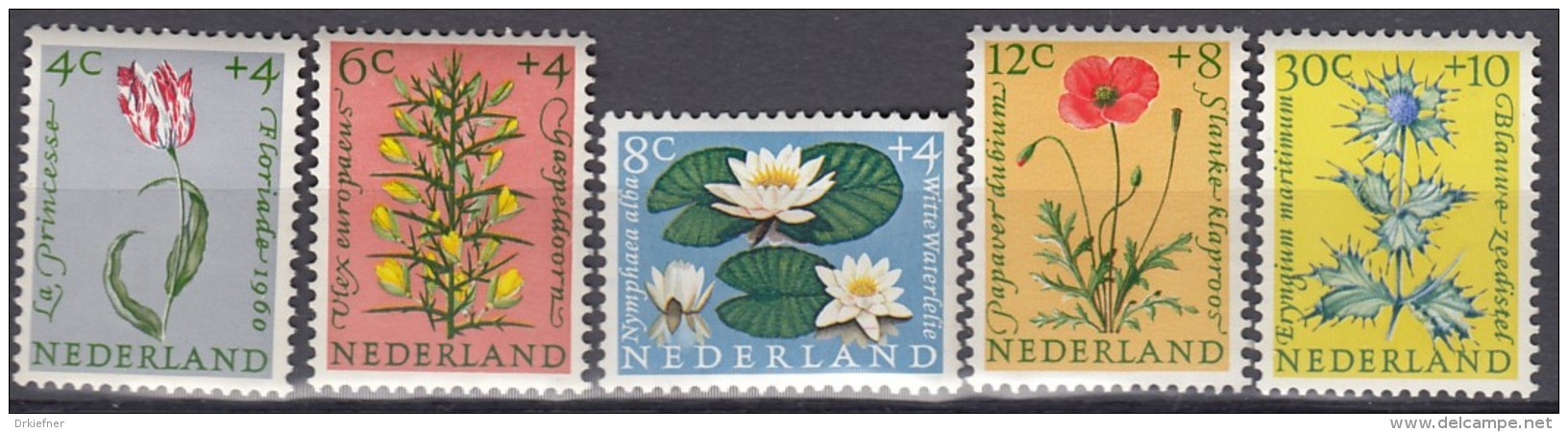 NIEDERLANDE  746-750, Postfrisch **, Blumen  1960 - Ungebraucht