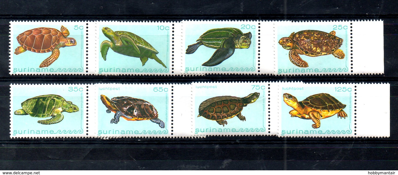 SURINAME, 1982,  TURTLE, 8v. MNH** - Turtles