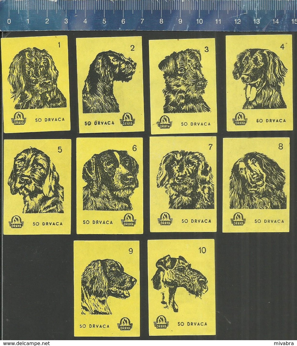 HONDEN - CHIENS - DOGS - HUNDE - PERRO Matchbox Labels Former YUGOSLAVIA - 1962 (YELLOW COLOR) - Boites D'allumettes - Etiquettes