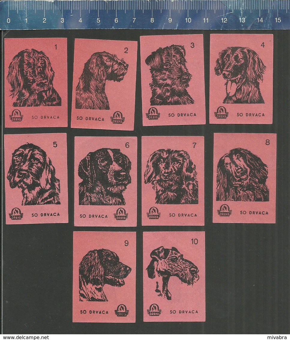 HONDEN - CHIENS - DOGS - HUNDE - PERRO Matchbox Labels Former YUGOSLAVIA - 1962 (RED COLOR) - Boites D'allumettes - Etiquettes