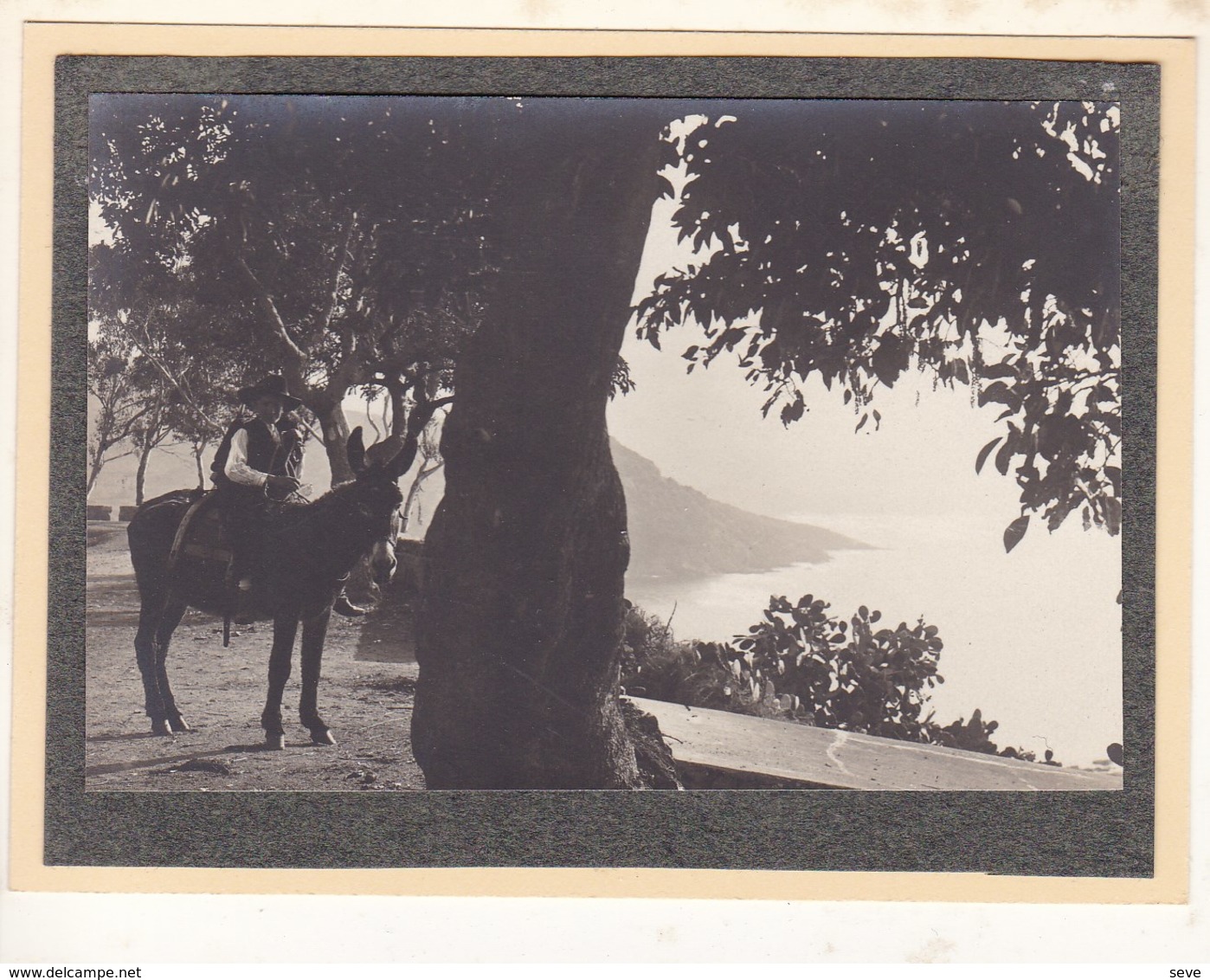 CORSE CARGESE 1926  Photo Amateur Format Environ 7,5 Cm X 5,5 Cm - Lieux