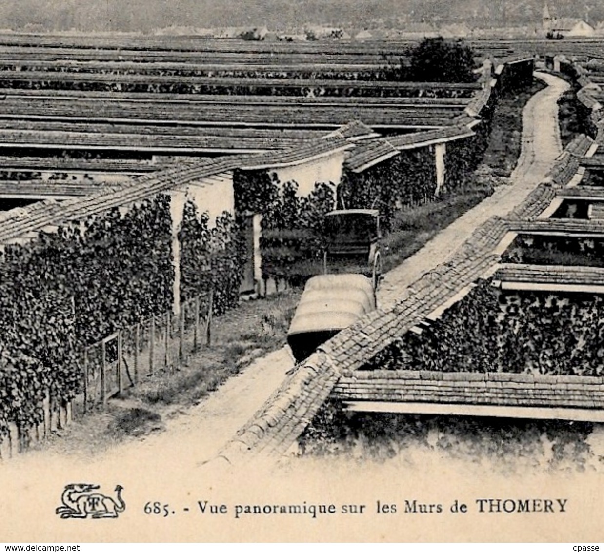 CPA 77 Vue Panoramique Sur Les Murs De THOMERY (Culture Du Raisin, Vigne) ** Agriculture - Autres & Non Classés