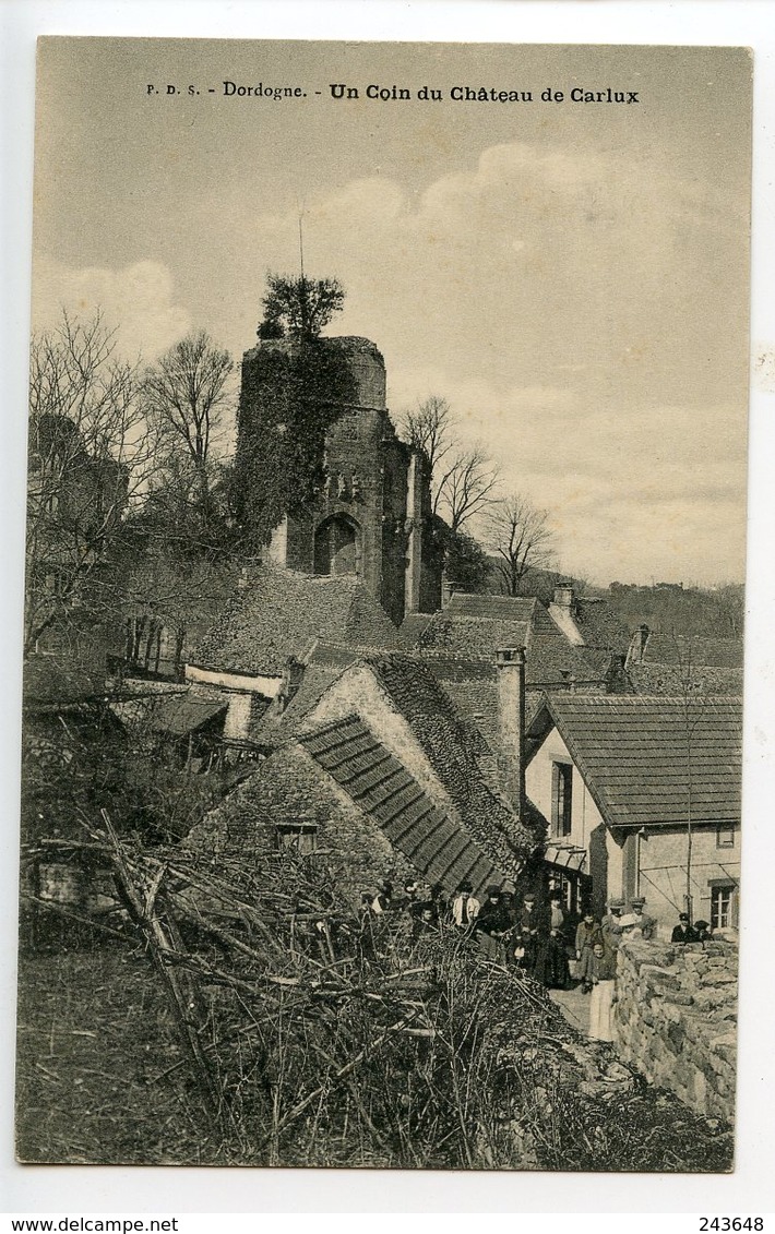 Un Coin Du Chateau De Carlux - Sonstige & Ohne Zuordnung