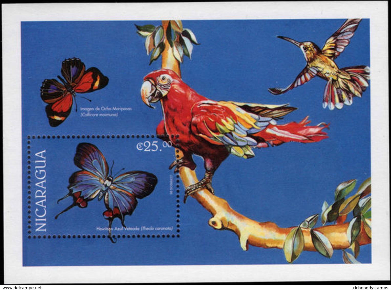 Nicaragua 1999 Butterfly And Scarlet Macaw Souvenir Sheet Unmounted Mint. - Nicaragua