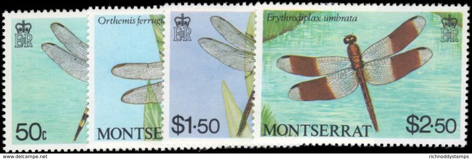 Montserrat 1983 Dragonflies Unmounted Mint. - Montserrat