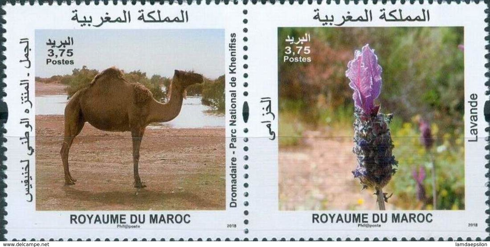 MOROCCO FAUNE FLORE FLORA FAUNA WILD DROMEDARY NEW MINT 2018 - Marruecos (1956-...)