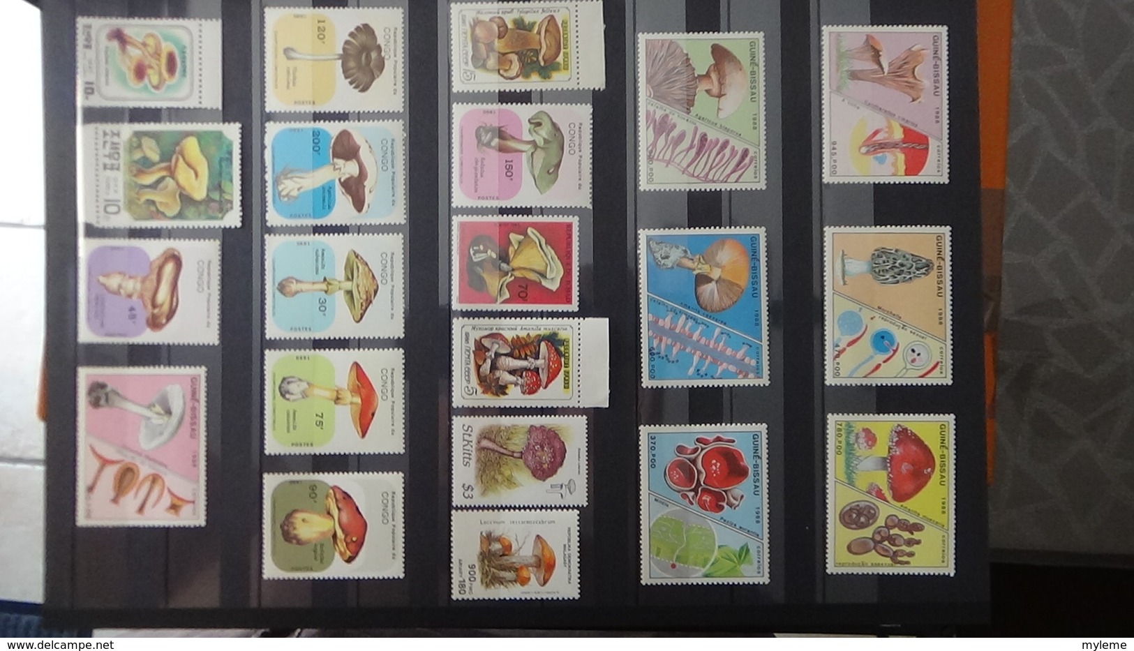 Belle collection de timbres et blocs ** du monde dont belle thématique sur les champignons. Très sympa !!!