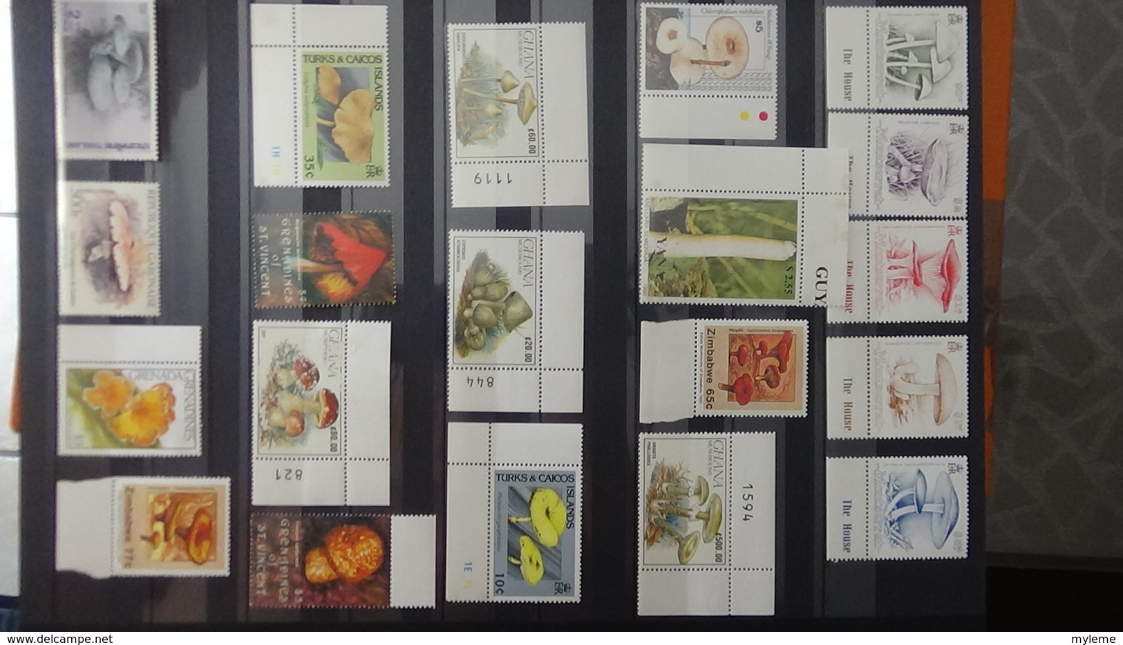 Belle collection de timbres et blocs ** du monde dont belle thématique sur les champignons. Très sympa !!!