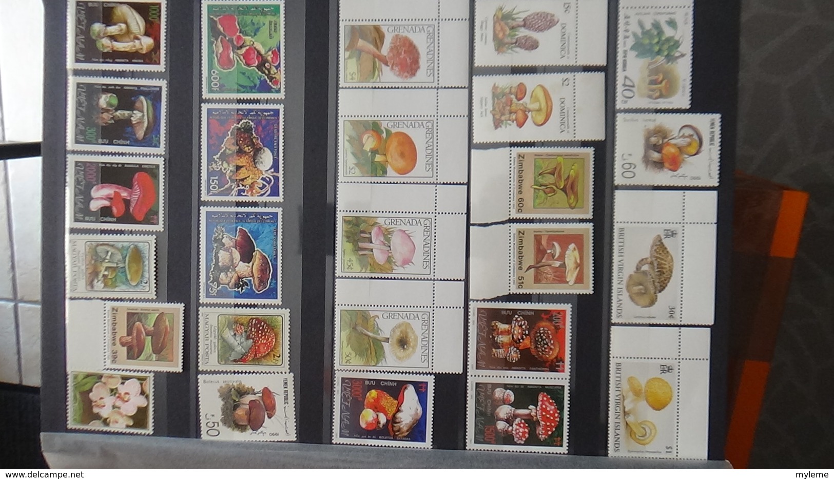 Belle collection de timbres et blocs ** du monde dont belle thématique sur les champignons. Très sympa !!!