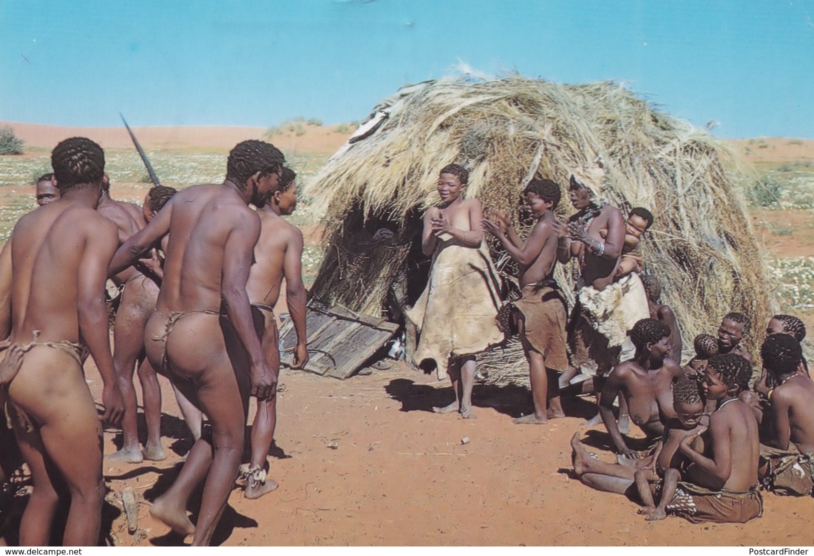 Bushmen Dance Bushman Naked Men Showing Lady Dancing South Africa Postcard - South Africa